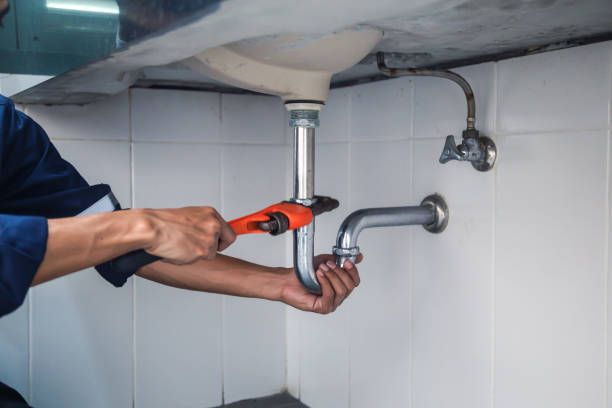 Best Clogged Drain Plumber  in Mishawaka, IN