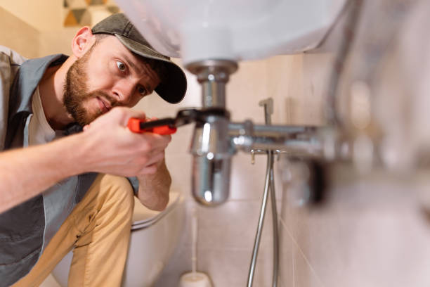 Best Toilet Repair Services  in Mishawaka, IN