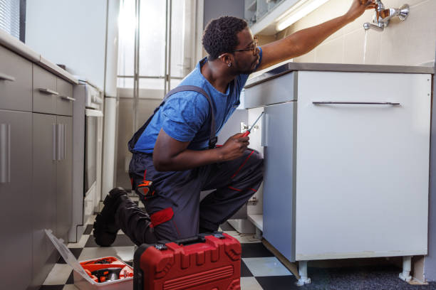 Best Affordable Plumbing Services  in Mishawaka, IN